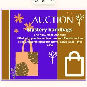 Mystery Purse Auction. Most NWT total value (including goodies / brand new tees)